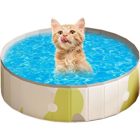 Hunde-Schwimmbecken – Planschbecken für Welpen – Spielbereich für draußen – Schneller Aufbau – 100 x 100 x 30 cm – Blau (1/5)