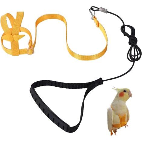 Harnais réglable pour Perroquet Laisse pour Animal Domestique Corde Anti-Morsure Sangle élastique pour Pigeon, Psittacus erithacus, Eclectus roratus, Cacatua galerita, Ara rouge, Big Cacatua galerita(