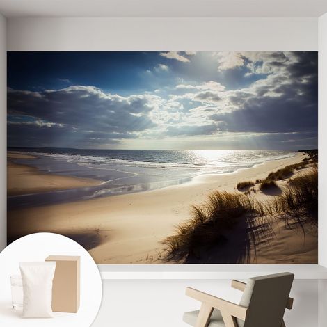 Papier peint intissé mural avec imprimé motifs décoratifs - style contemporain - Colle incluse gratuite Rive rayonnante 152x104 cm (1/5)