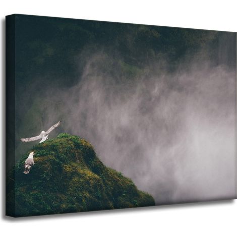 Leinwanddruck Natur aus der Vogelperspektive 40x30 cm