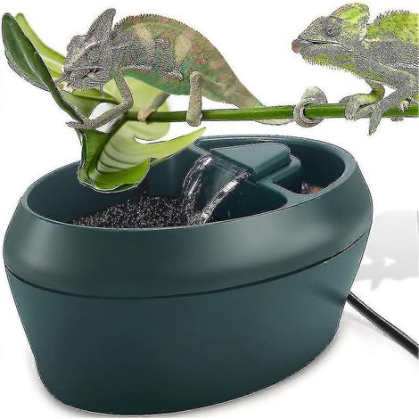 Cantine pour reptiles caméléons avec mangeoire, fontaine à eau pour amphibiens et insectes (1/5)