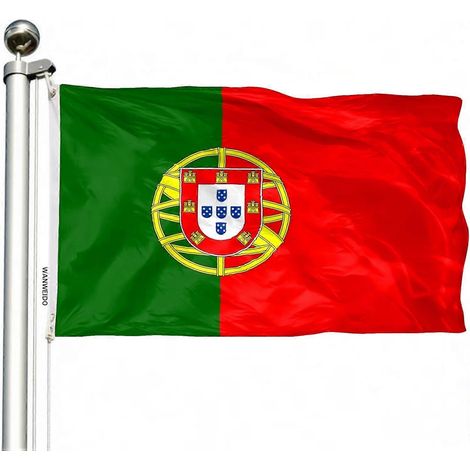 Drapeau argentin 90 x 150 cm (3 x 5 pi) en polyester de qualité supérieure, pour usage intérieur et extérieur, double couture, couleurs vives et durables, avec 2 œillets en laiton. (1/5)