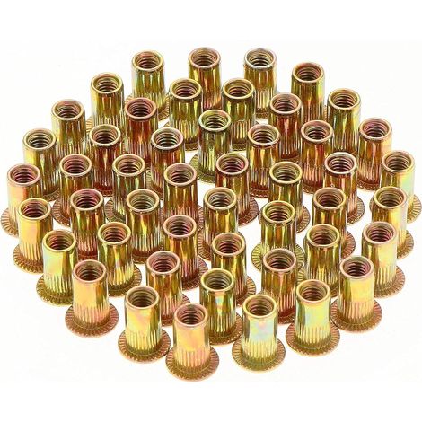 150 Pièces Écrou à Rivet M5 Fileté à Tête Plate, Écrous à Riveter Fileter, Assortiment M5 Rivet Inserts Filetés pour Métal Plastique (10 mm x 13 mm)