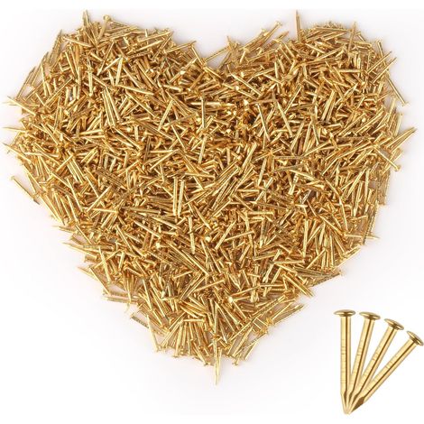 Lot de 1500 Mini Clous à Tête Ronde, Petits Clous Dorés, 1 x 10 mm, Clous Plaqués Laiton, Tête Ronde, Petits Clous en Bois Pour Bricolage, Fixation de Meubles (Dorés)
