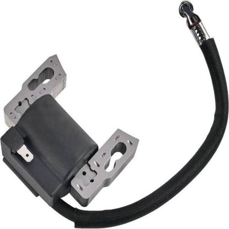 Bobine D Allumage - Haute Tension - Pour Moteur 797040 - Tondeuse À Gazon - Pack Avec Bougie (1/3)
