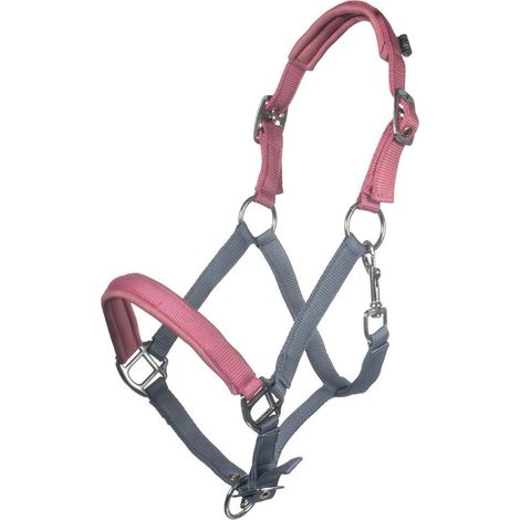 Pony, azzurro fumo e rosa: Cavezza modello Barnie in nylon imbottito in softprene per pony e shettland