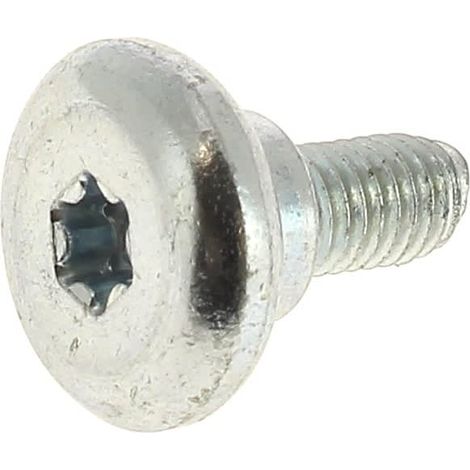 Vite autofilettante 2603413040 per tagliasiepi bosch
