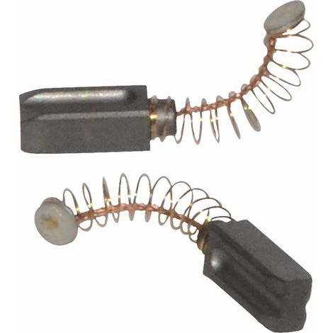 charbon/ressort 117.540 TriacS /Igniter (X 2) - FROLING : 38054C