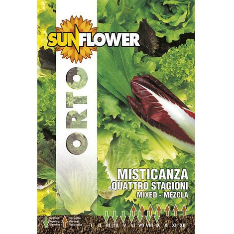 Graines de Misticanza Quatre Saisons Tournesol