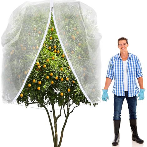 pièce - Grand filet pour arbres fruitiers - Housse de protection avec fermeture éclair et cordon de serrage - Maille ultra-fine 240 x 240 cm - Barrière anti-insectes et anti-oiseaux pour la protect... (1/5)