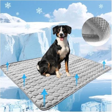 Tappeto rinfrescante di auto-raffreddamento cane e gatto 150 × 100 cm, antiscivolo, grigio (1/5)