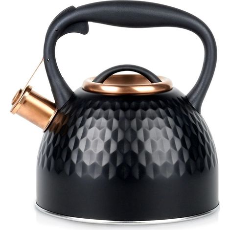 Whistling black stainless steel kettle 25l capacity 235492217 (1/5)