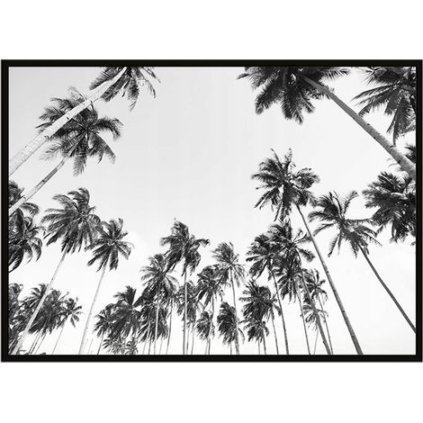Bild Poster im Rahmen 43x33 cm Palmen P909 (1/3)