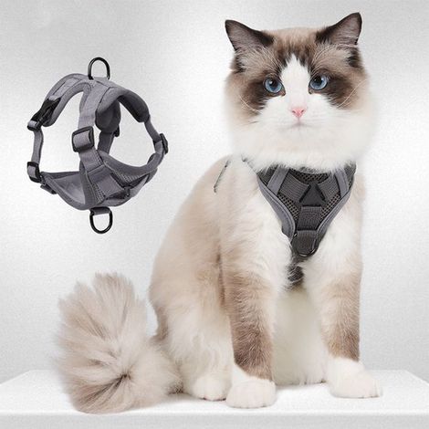 Arnés ajustable antiescape para gatos con correa - Conjunto de arnés y correa de malla suave antiescape para todos los gatos (talla M) (1/5)