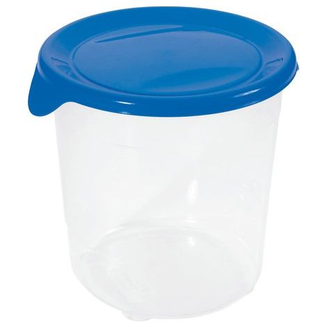 CURVER 2045227 FRESH&GO BOÎTE FRAÎCHEUR PLASTIQUE TRANSPARENT/BLEU 1,0 L KETER 00564-139-01