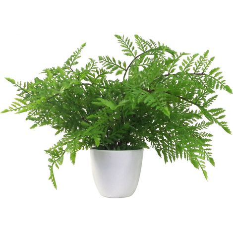 30cm Artificial Potted Southern Wood Fern (1/5)