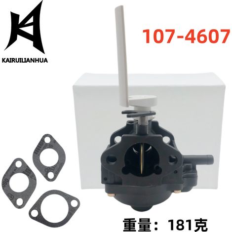 The carburetor and gaskets 107-4607 fit models 10247, 10324, 22260, 22261 and 808-041. (1/4)