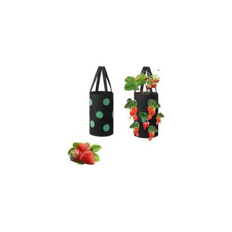 Pièces Fraises Sac Culture Respirant, Sac Plantation Jardin, Conteneurs Culture de Légumes, 12 Trous Non Tissé Plante Panier Suspendu pour Les Fraises, Les Herbes, Les Légumes et Les Fleurs (1/5)