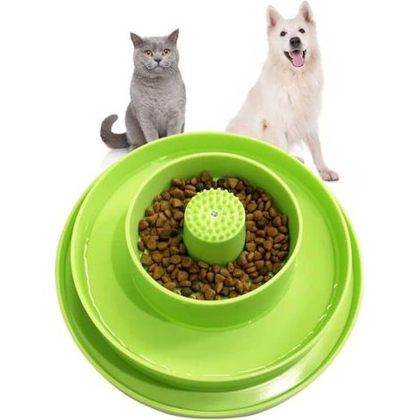 Filiyano-Gamelle anti-glouton pour chien et chaton, design à plusieurs niveaux (vert) (1/5)