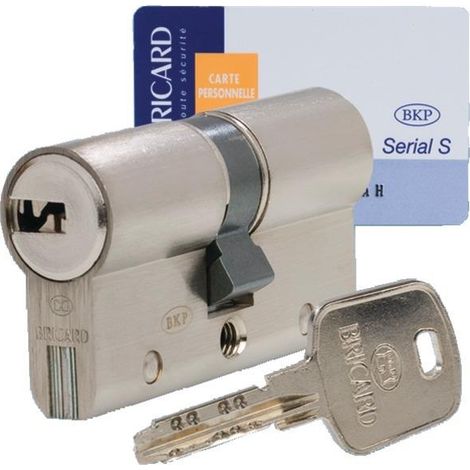 Bricard SERIAL S cilindro cerradura níquel 30x30 mm