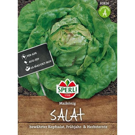 Sperli Kopfsalat Maikönig - Gemüsesamen (1/4)