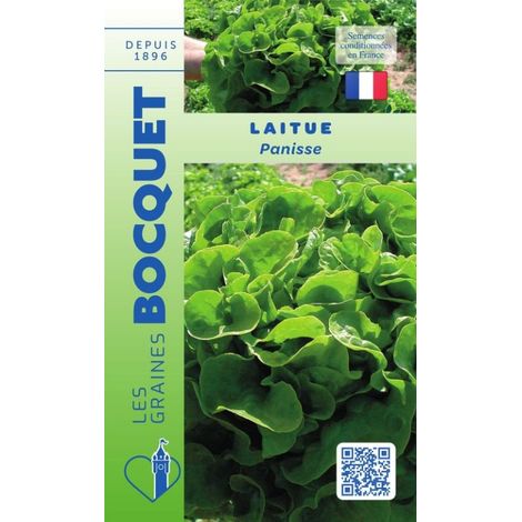 Laitue Panisse - 2g