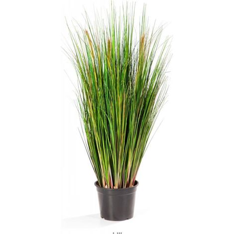Graminée sétaire artificielle en fleurs en pot H 90 cm