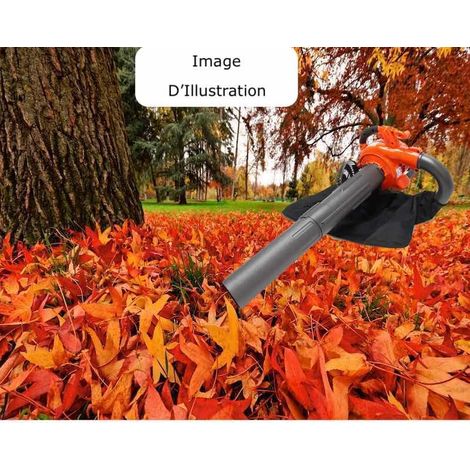 Le Poisson Qui Jardine – Aspirateur souffleur thermique 7500 tours/min – Moteur 1 CV – Sac de 50 L pour débris – Idéal pour espaces extérieurs (1/5)