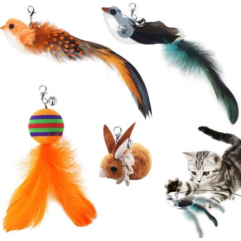 Jouet Chat Interactif Interieur Jouets à Plumes pour Chats Oiseau Rechange Jouet Plume Chat Remplacements avec Cloche pour Jeux Chat Baguette Canne à Pêche Cadeau Jeu (1/5)