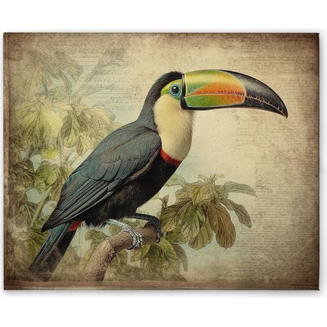 Leinwandbild Toucan Vintage M1-No.52259 - Kunstdruck auf Leinwand in Beige Schwarz - Wandbild 40 x 50 cm (1/5)