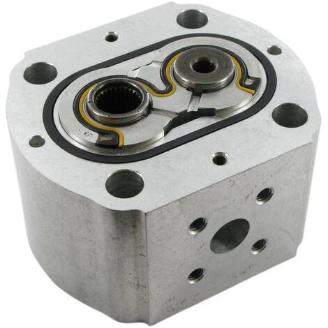Pumpenteil PLP20.8-D0-86-S6-LBE/BC-N-I-FS CASAPPA PLP208DIIB