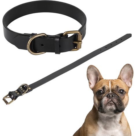 Collier Pour Chien - Cuir Synthétique Noir Avec Boucle Métal Bronzé - Résistant Et Réglable - Pour Petit Et Moyen Chien - Taille M (1/5)