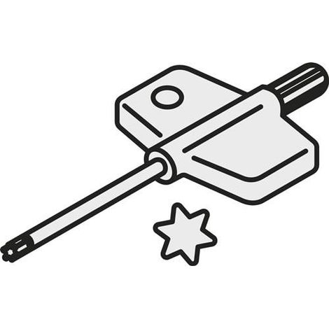 Torx-Schlüssel ISO FLAG T20P Bruttogewicht 10,8g PRAMET
