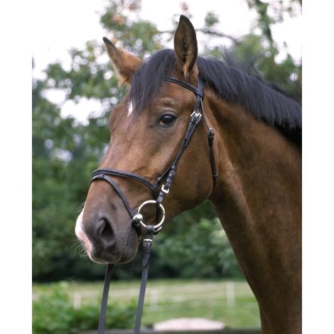 Bride anglaise combinée, noire, taille Warmblood. Bride anglaise combinée, noire. (1/5)