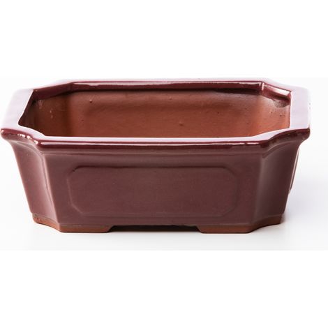 Vaso bonsai rettangolare 21 cm smaltato prugna (1/2)