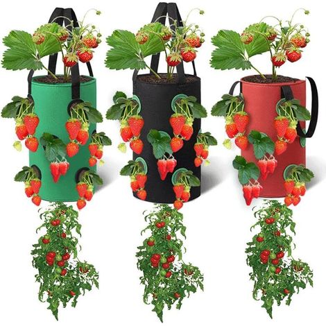 Lot de 3 sacs de culture suspendus 20x35cm – Tissus non tissés avec 12 poches respirantes – Pour fraises, herbes, fleurs, légumes - 20cm35cm (1/5)