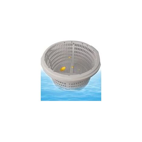 gris Panier filtrant de rechange Hayward SP1091LX pour écumoire de piscine en plastique (1/4)