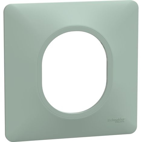 Plaque de finition 1 poste Ovalis Schneider Finition: Sauge