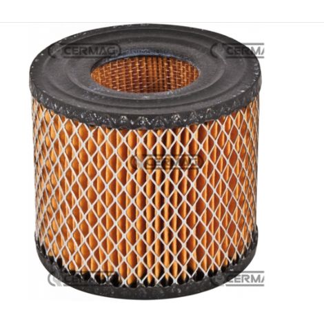 Filtro aria cilindrico motore BRIGGS STRATTON 8 Hp 10 Hp 13Hp 16Hp 393957 390930