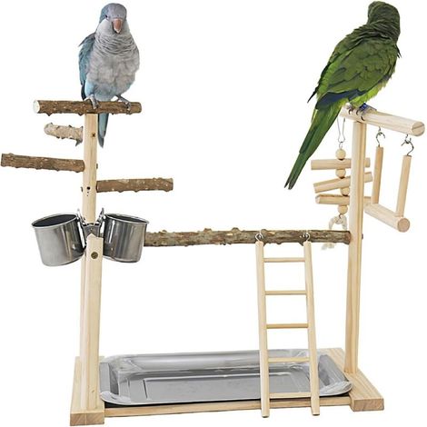 Bardusch-Échelle d’escalade + plateau + tasses – parc de gym complet pour perruches et calopsittes (1/5)