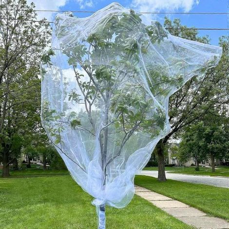 Lot de 2 filets pour arbres fruitiers avec fermeture éclair et cordon de serrage, 1,80 m x 1,80 m, filet anti-insectes et anti-oiseaux pour la protection du jardin, filet de jardin à mailles ultra-fin (1/5)