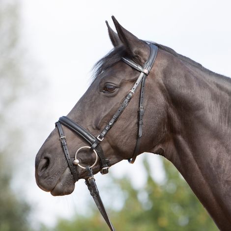 Kieffer Trensenzaum Ultrasoft - schwarz - Warmblut