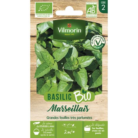 Vilmorin Basilic Marseillais Bio (1/2)