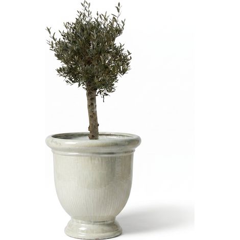 Lot olivier + pot grande taille TITAN 72x75cm perle, fait main en terre cuite émaillée