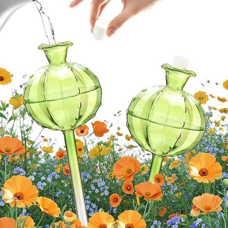 Ballons d'irrigation en verre, système d'arrosage automatique pour plantes d'intérieur, plantes en pot, décoration intérieure et extérieure, cactus verts, 2 pièces (1/5)