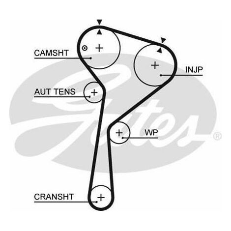 Courroie crantée Gates 5578XS DACIA 1276184A00 1276184A50 13028-BN700
