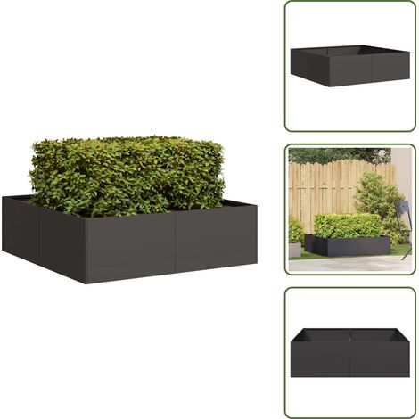 vidaXL Jardinière noir 100x100x30 cm acier (1/5)