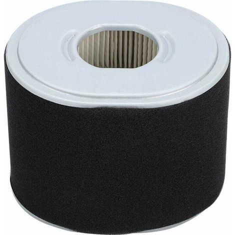 Filtre de Filtre à air de Tondeuse Compatible avec Honda GX390 GX340 11 13 HP (1/4)