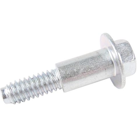 Vis BRIGGS ET STRATTON 596718 (1/4)