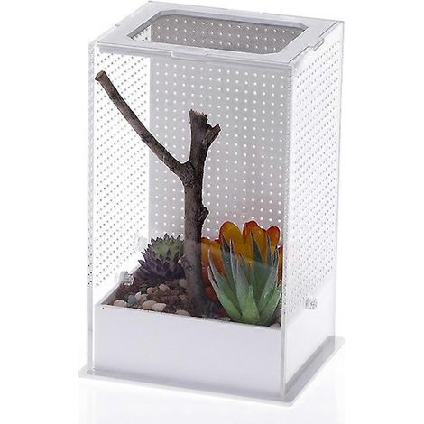 Terrarium transparent pour reptiles, boîte d'alimentation claire pour araignée, lézard, coléoptère, mante (taille S)